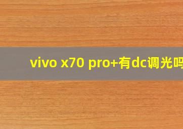 vivo x70 pro+有dc调光吗